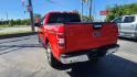 2018 RED FORD F150 SUPERCREW (1FTEW1EP6JK) with an 2.7L engine, Automatic transmission, located at 101 S. Halleck St., DeMotte, 46310, (219) 987-2922, 41.202343, -87.198189 - Photo#3