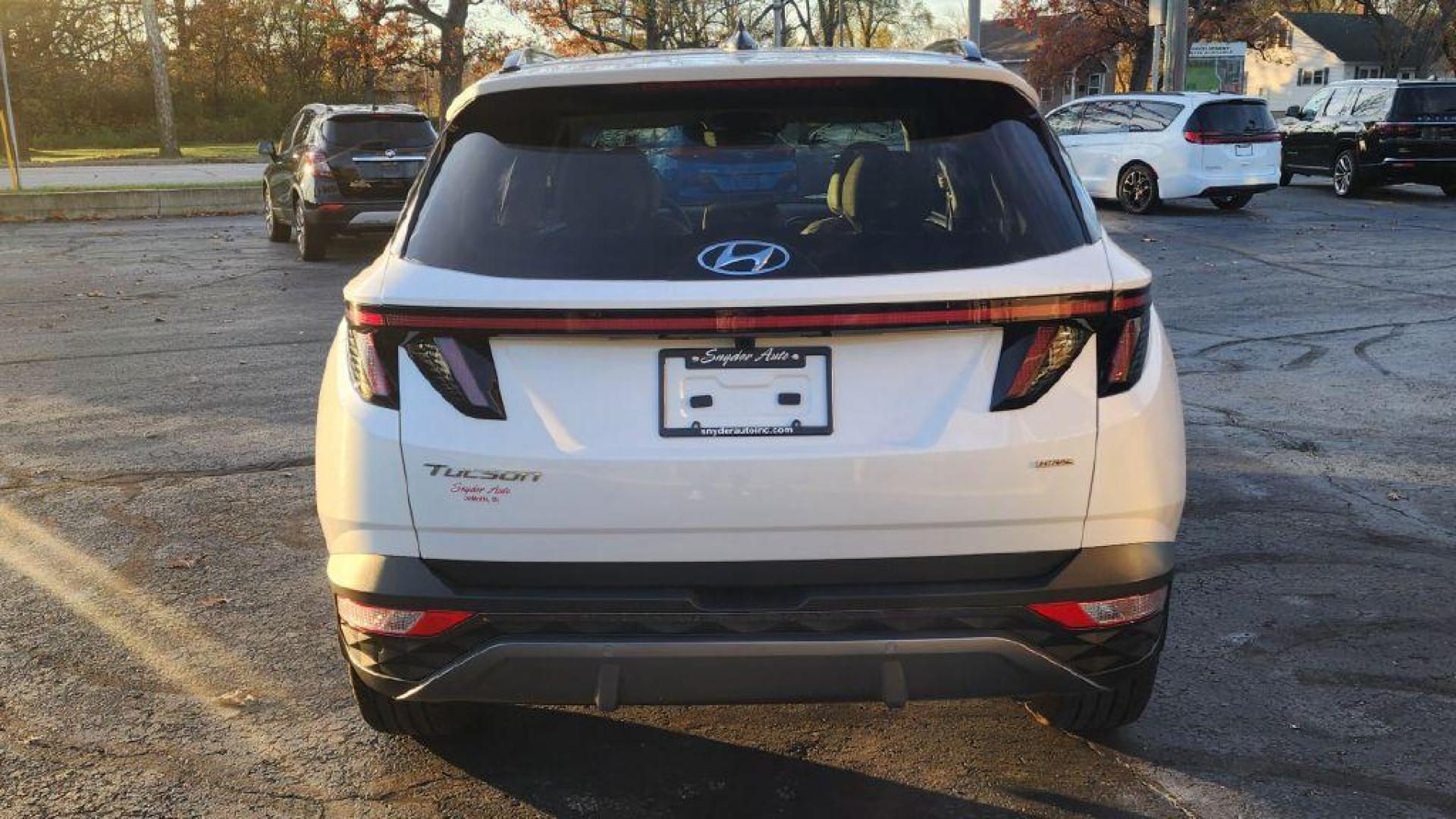 2024 WHITE HYUNDAI TUCSON LIMITED - AWD (5NMJECDE0RH) with an 2.5L engine, Automatic transmission, located at 101 S. Halleck St., DeMotte, 46310, (219) 987-2922, 41.202343, -87.198189 - Photo#4