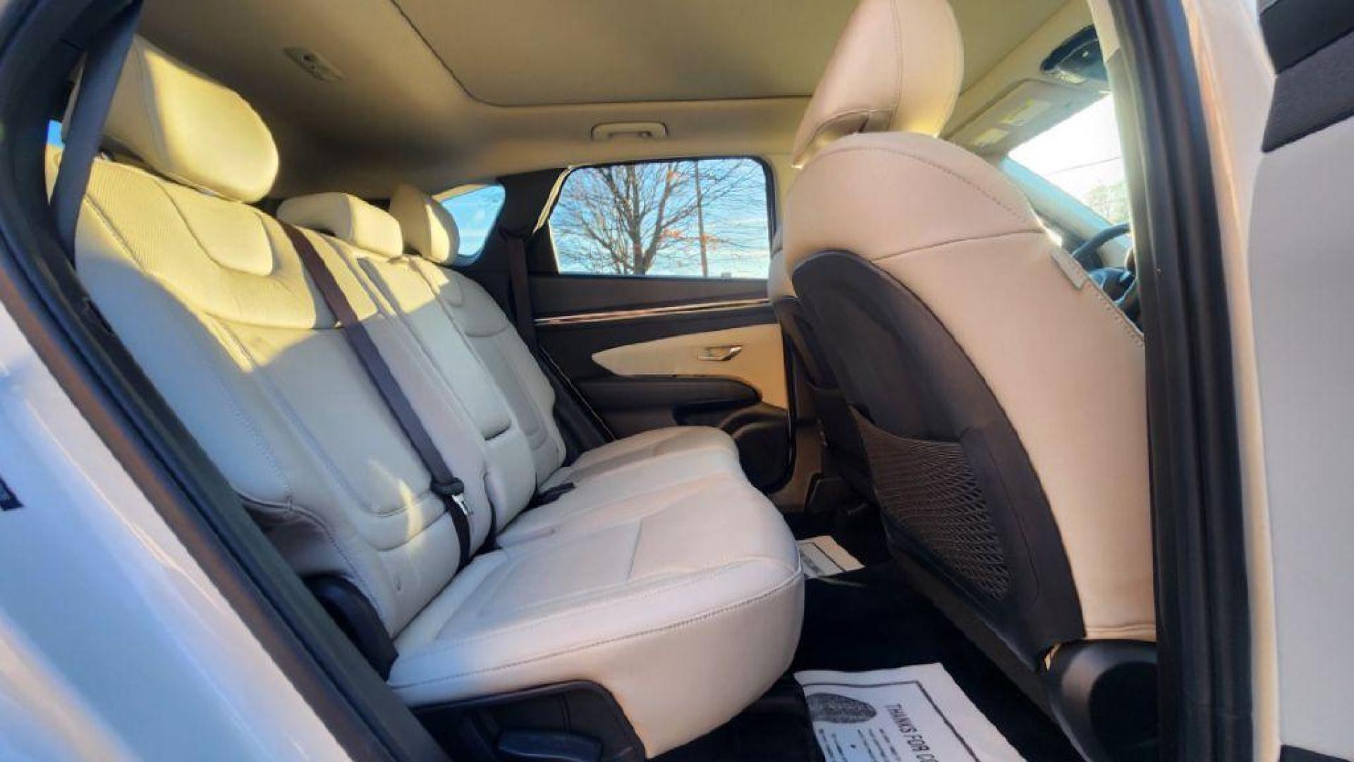 2024 WHITE HYUNDAI TUCSON LIMITED - AWD (5NMJECDE0RH) with an 2.5L engine, Automatic transmission, located at 101 S. Halleck St., DeMotte, 46310, (219) 987-2922, 41.202343, -87.198189 - Photo#8