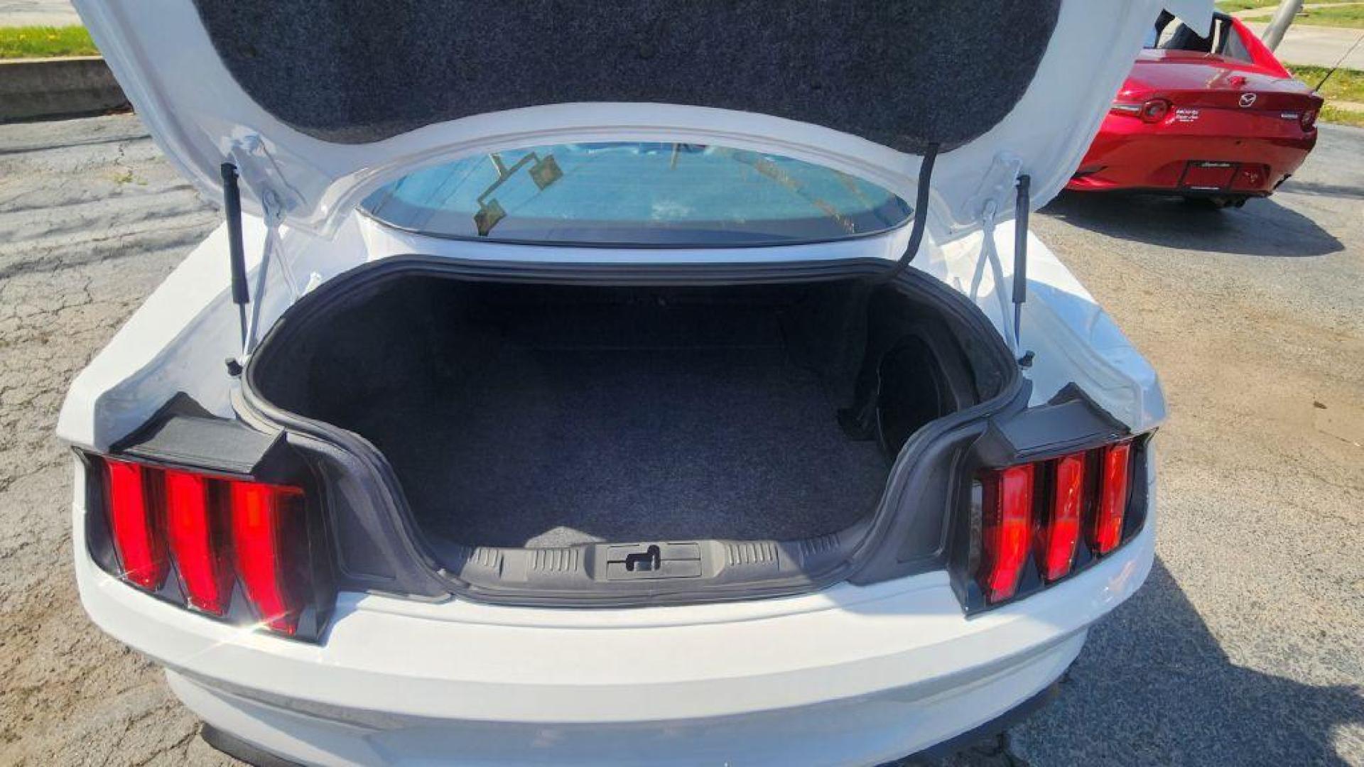 2020 WHITE FORD MUSTANG GT -RWD (1FA6P8CF5L5) with an 5.0L engine, Automatic transmission, located at 101 S. Halleck St., DeMotte, 46310, (219) 987-2922, 41.202343, -87.198189 - Photo#19