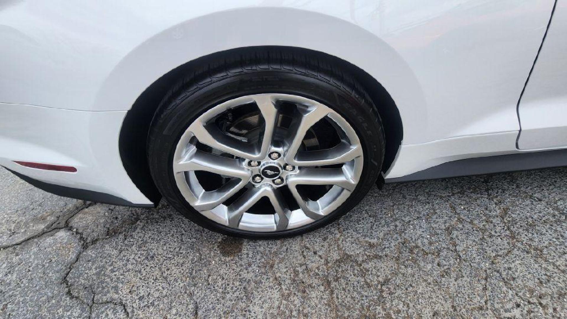 2020 WHITE FORD MUSTANG GT -RWD (1FA6P8CF5L5) with an 5.0L engine, Automatic transmission, located at 101 S. Halleck St., DeMotte, 46310, (219) 987-2922, 41.202343, -87.198189 - Photo#21
