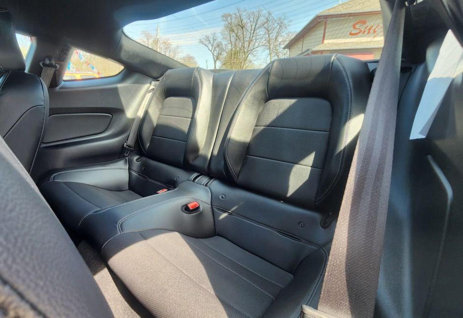 2020 WHITE FORD MUSTANG GT -RWD (1FA6P8CF5L5) with an 5.0L engine, Automatic transmission, located at 101 S. Halleck St., DeMotte, 46310, (219) 987-2922, 41.202343, -87.198189 - Photo#6