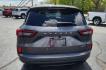 2023 GRAY FORD ESCAPE ST LINE - 4WD (1FMCU9MN8PU) with an 1.5L engine, Automatic transmission, located at 101 S. Halleck St., DeMotte, 46310, (219) 987-2922, 41.202343, -87.198189 - Photo#4
