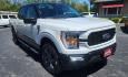 2023 GRAY FORD F150 SUPERCREW - 4WD (1FTEW1EP0PK) with an 2.7L engine, Automatic transmission, located at 101 S. Halleck St., DeMotte, 46310, (219) 987-2922, 41.202343, -87.198189 - Photo#2