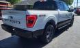 2023 GRAY FORD F150 SUPERCREW - 4WD (1FTEW1EP0PK) with an 2.7L engine, Automatic transmission, located at 101 S. Halleck St., DeMotte, 46310, (219) 987-2922, 41.202343, -87.198189 - Photo#3